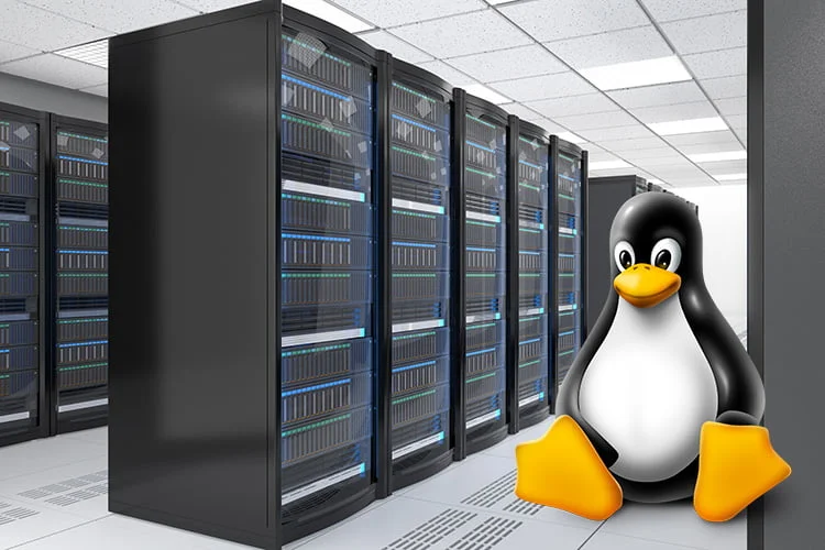 Linux server