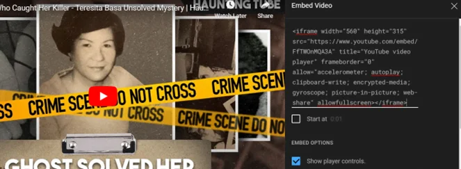 Jak wstawić wideo z YouTube na stronie internetowej za pomocą iframe? 5 post128 4