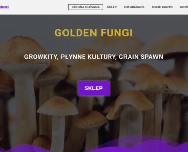 Ostatnia realizacja dla Golden Fungi 6 Twórcy Stron